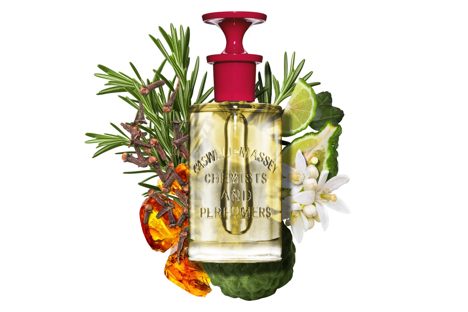 Number Six | Eau de Parfum