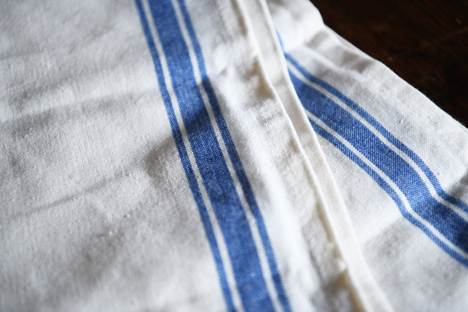 Cotton Woven Hand Towel - Blue