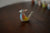 Bird Whistles