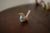 Bird Whistles