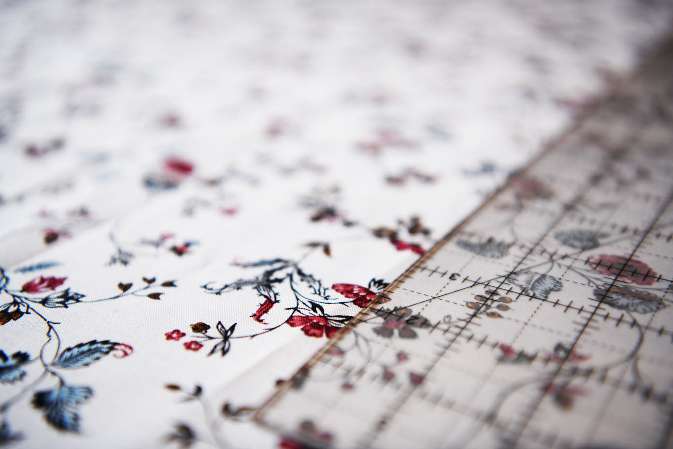 Francis Open Reproduction Fabric