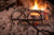 18th Century Toaster for Hearths and Open Flame Cooking