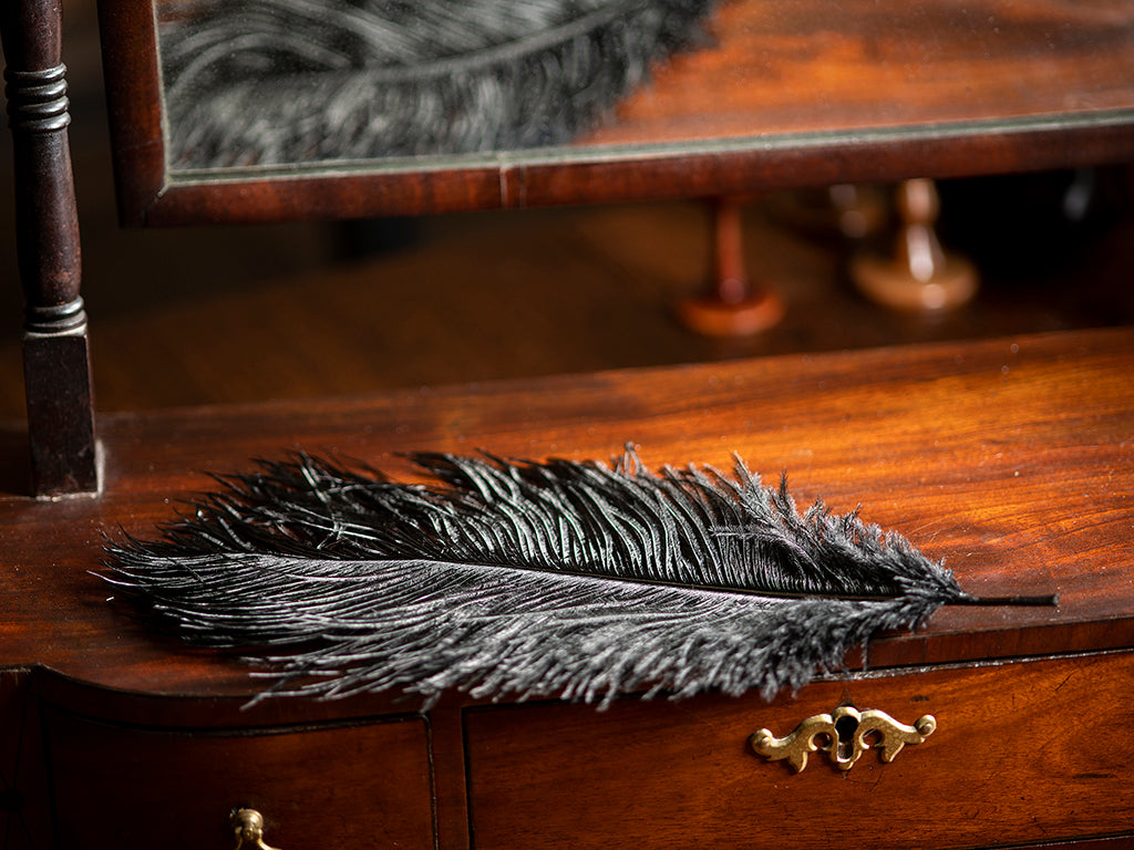 Plume d'autruche