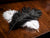 Ostrich Plume