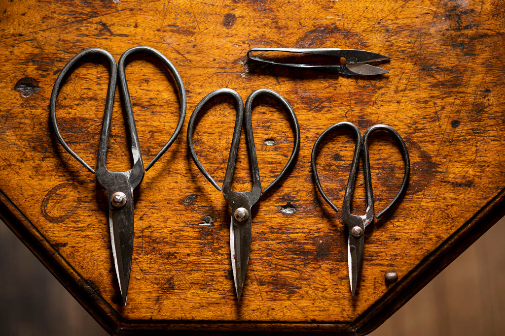 18th Century Scissors and Snips 