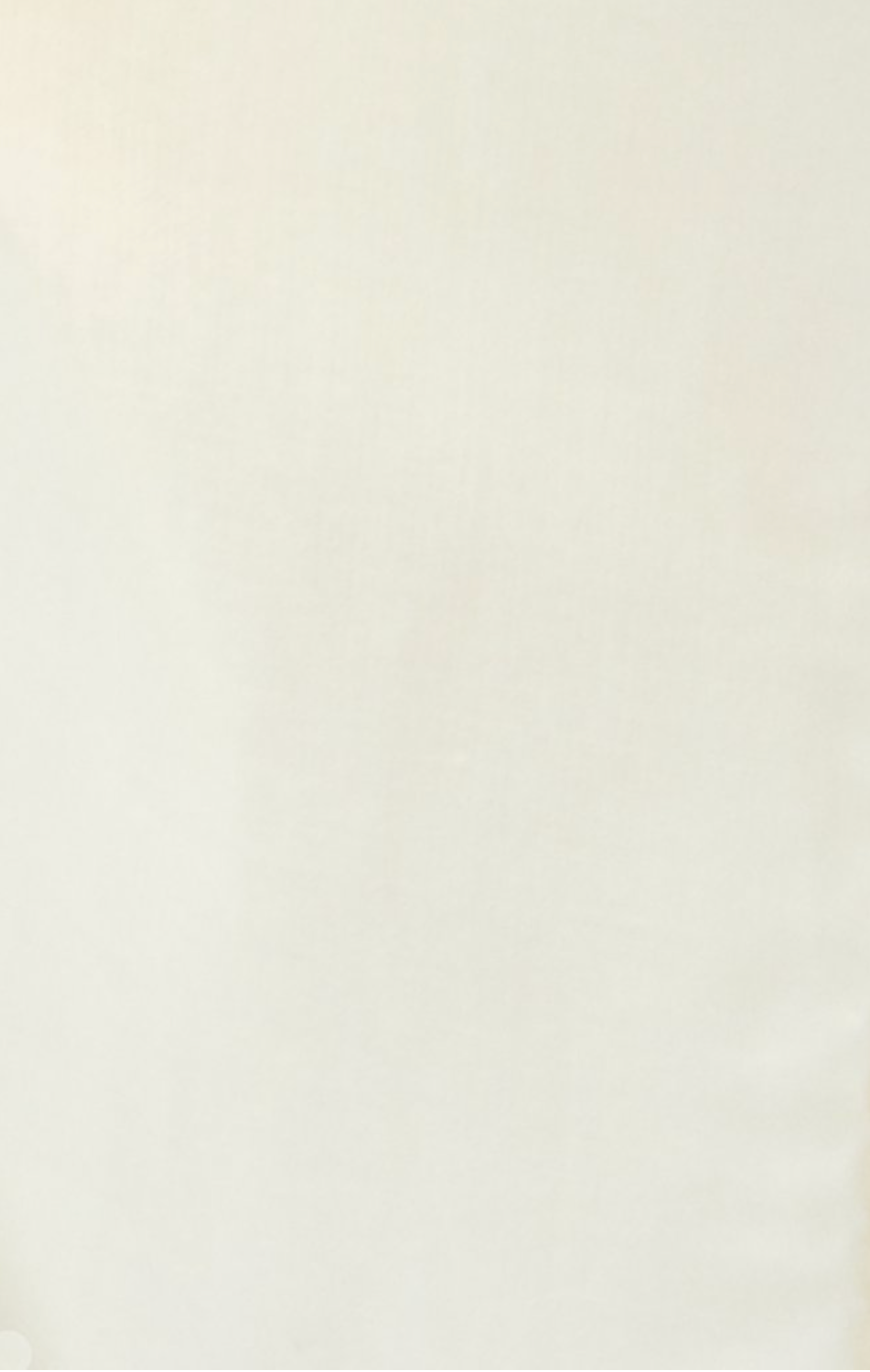 Foulards en coton uni