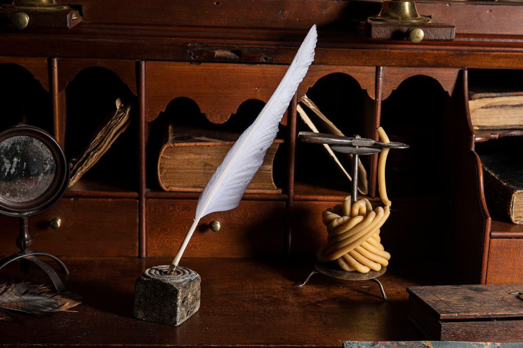 18th Century Goose Writing Quill for Early American Calligraphy