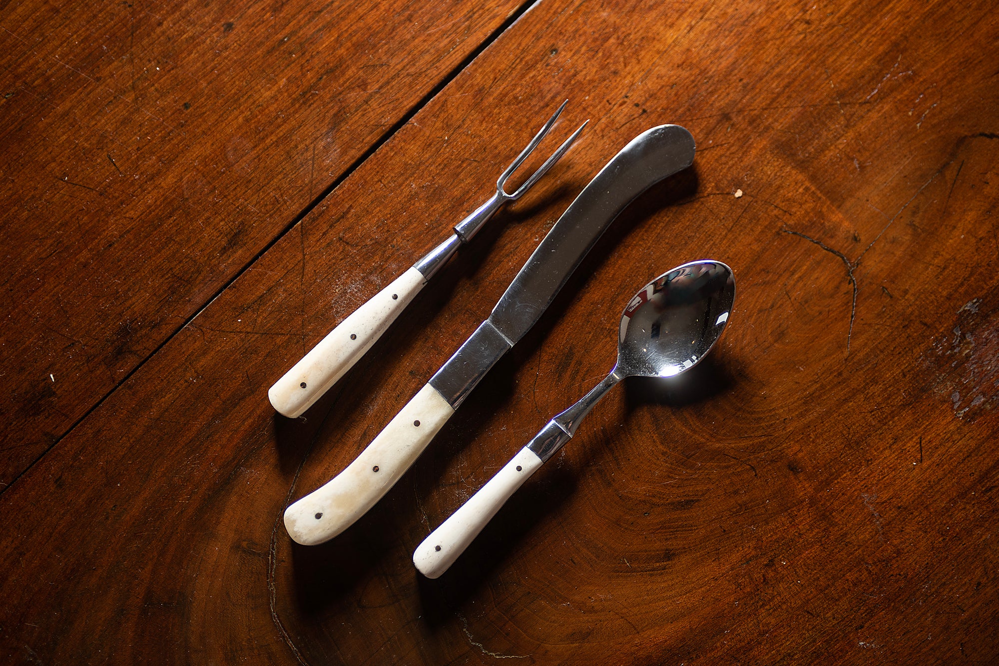 Bone Handled Cutlery Set