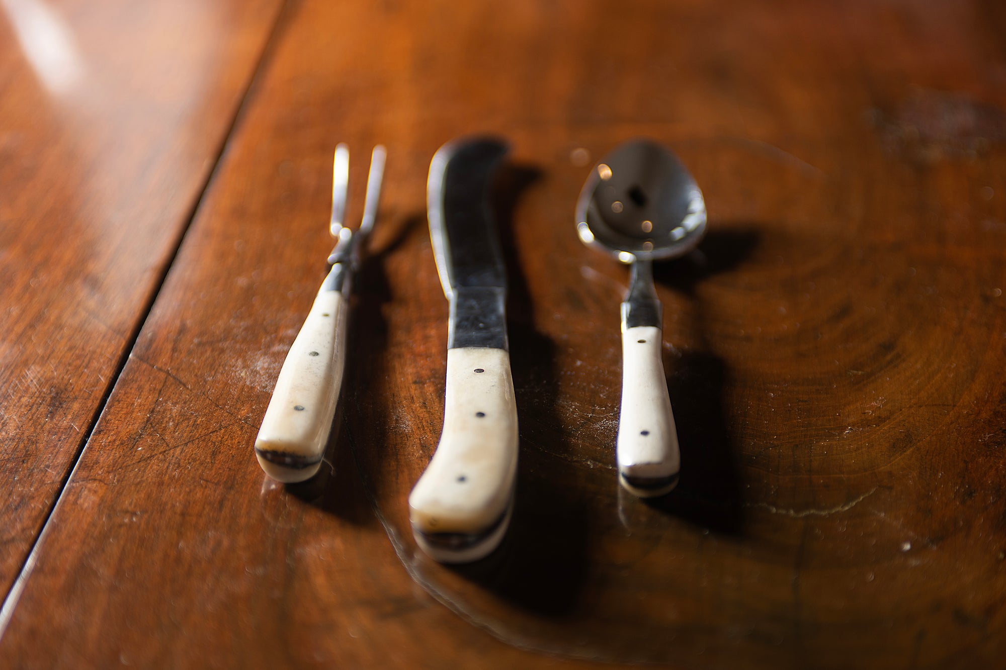 Bone Handled Cutlery Set